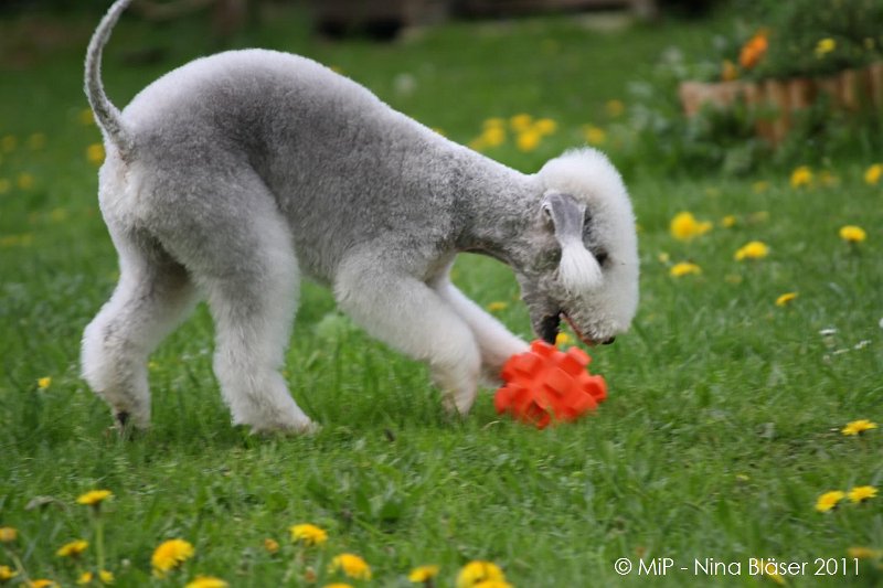 2011-04-23 Quincy etc (44).jpg